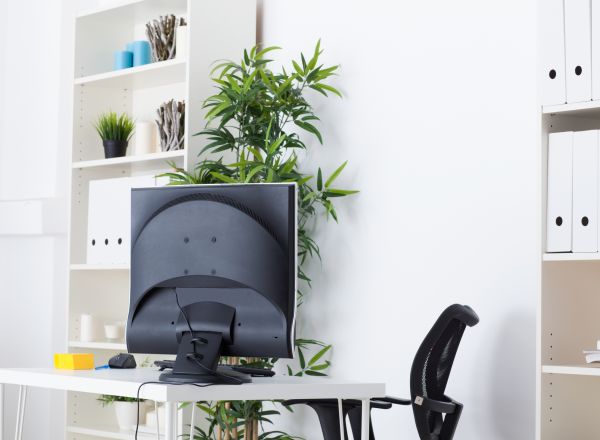 Office Staging in Antioch